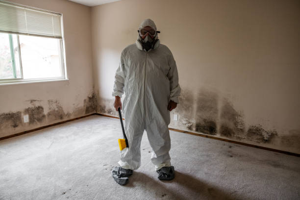 Best Bathroom Mold Remediation in USA